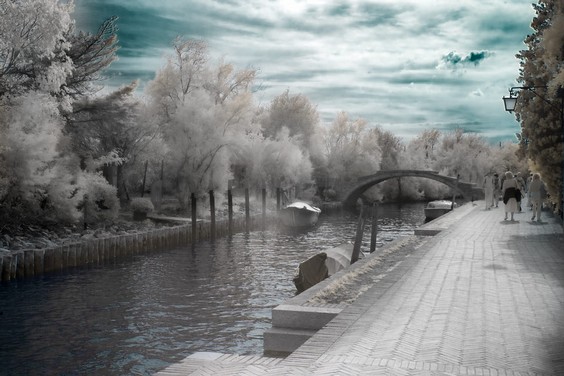 _DSC0642-IR.jpg